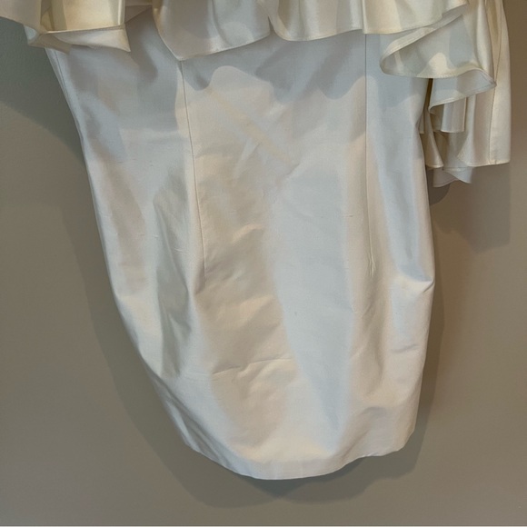 Rasario Ruffled One-Shoulder Silk Mini Dress | Size 38 / 6 - Picture 5 of 11